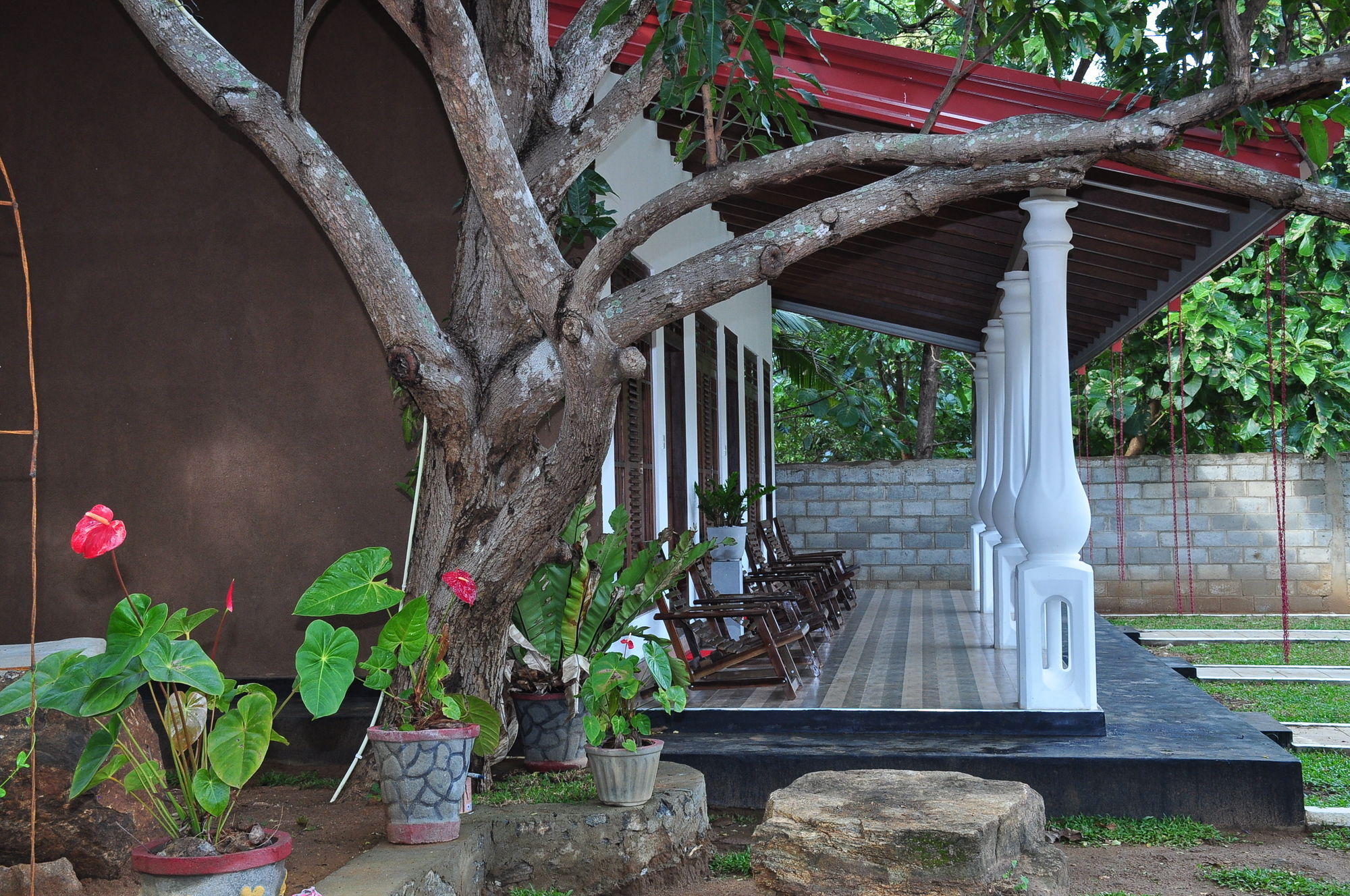 Winmi Resort Habarana Exterior foto