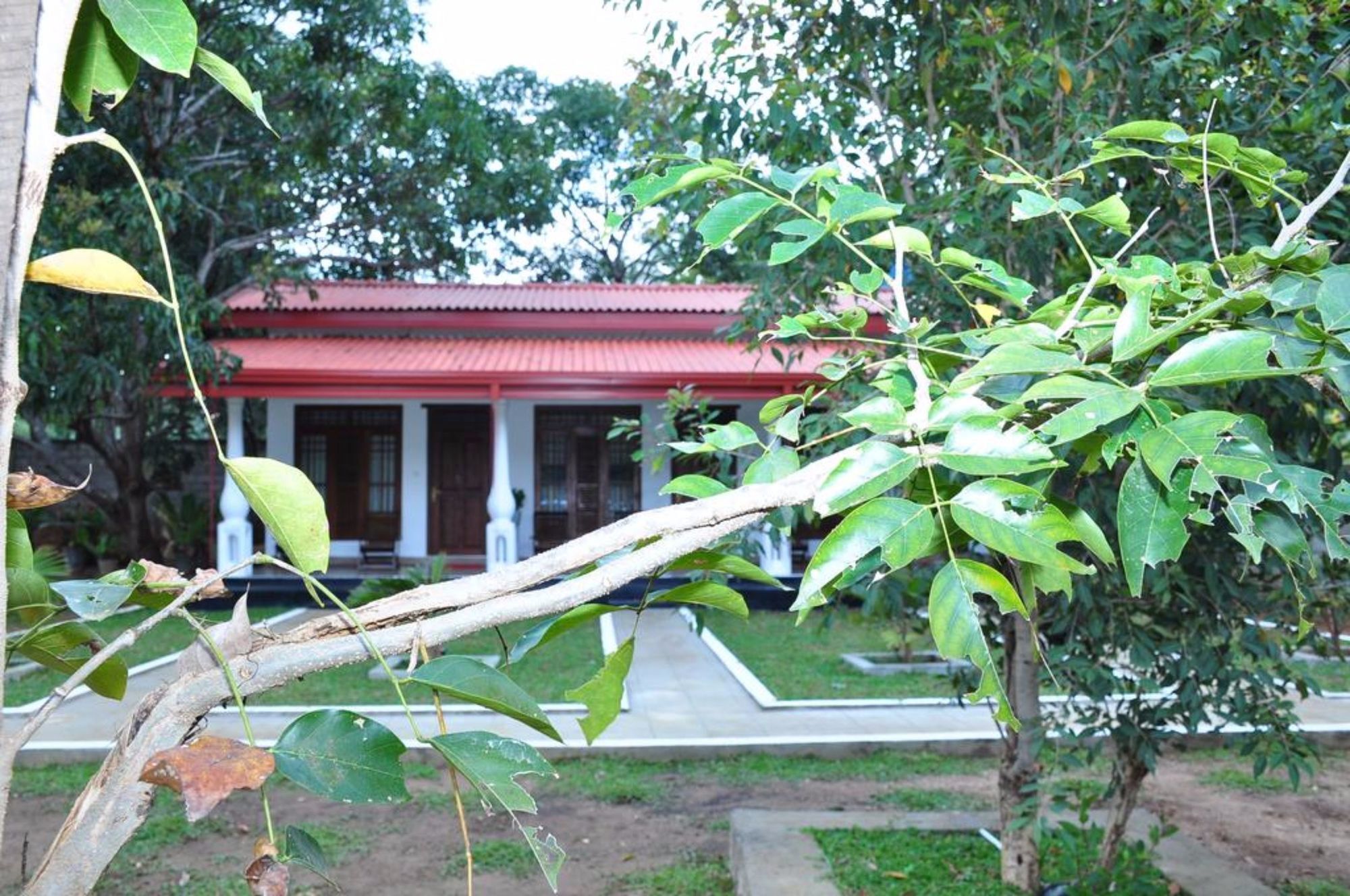 Winmi Resort Habarana Exterior foto